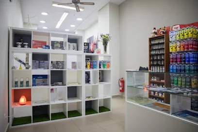 Academia de Arte Jesús Jiménez