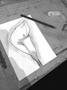 Clases de Pintura y Dibujo - ESTUDIO SANTAELLA - 2