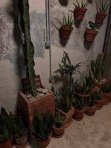 Pieza y Pausa - Estudio de pintura cerámica - 2