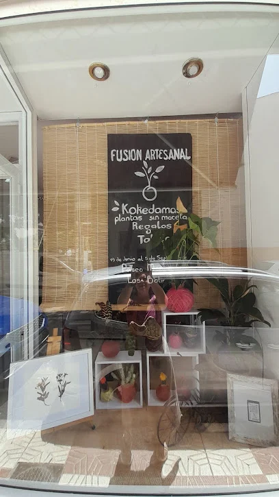 Taller de Cerámica, Cerámics Studio, Pottery Wheel, Alfarería, Plantas Kokedamas, Workshops y Venta. Fusion Artesanal.